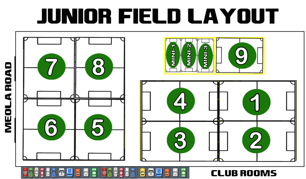 Junior Field Layout