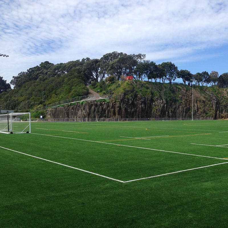 Mount Eden, Auckland Grammar School: 5-a-side, 6-a-side, and 7-a-side football competitions with FootballFix